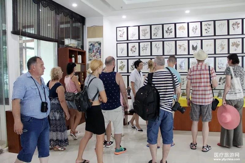 三亚市中医院开展中医药文化体验之旅