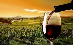 Show Off To Your Friends And Relations With This Professional Wines Guidance! 